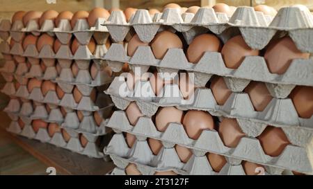 Staples with egg trays. Storage for brown eggs from an organic egg farm Stock Photo