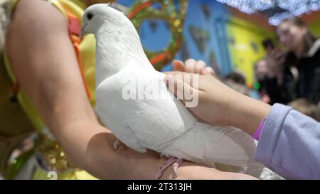 Denmark - Copenhagen, June 5, 2023: Performance with a white parrot in front of families with children at the shopping center. Clip. Clever bird Stock Photo