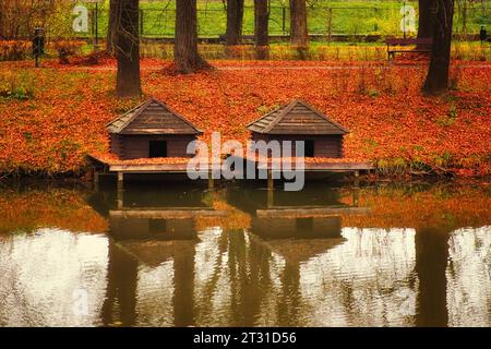 Two duck houses near a pond in Zamosc city park. Autumn landscape. Stock Photo