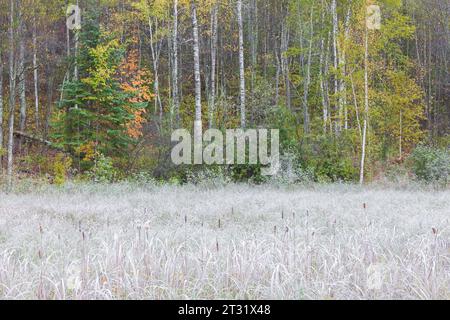 A frosty morning in northern Wisconsin. Stock Photo