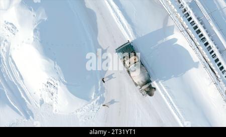 Stray dogs on winter. Clip. Top view of barking dogs in winter. Dogs bark at quadcopter on sunny winter day Stock Photo