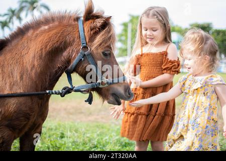 Two little girls feeding a pony. Farm and kids. Fall fun activities for children at the farm. Feeding farm animals. Stock Photo