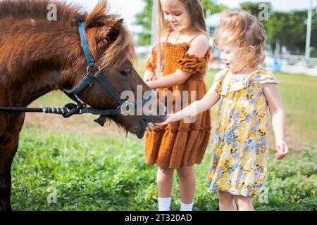 Two little girls feeding a pony. Farm and kids. Fall fun activities for children at the farm. Feeding farm animals. Stock Photo