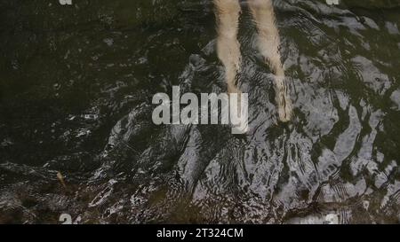 Feet in water with current. Creative. Slow motion shooting of water ripples with feet underwater in pond. Feet under water in natural pond in summer Stock Photo