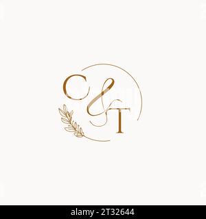 CT initial wedding monogram logo design ideas Stock Vector
