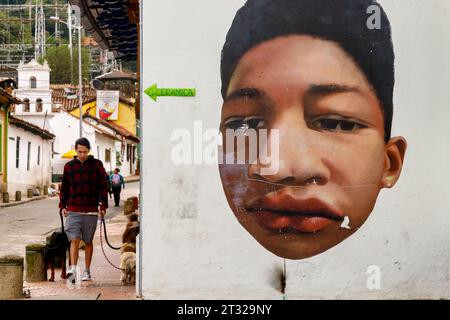 Bogota, Colombia - January 2, 2023: Young man walks his dogs past a mural in the La Candelaria district Stock Photo