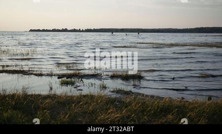 Wide beautiful lake with green and yellow grass shore. Creative. Green forest on the background. Stock Photo