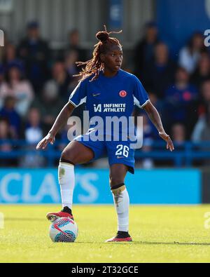 Chelsea ladies sale kingsmeadow