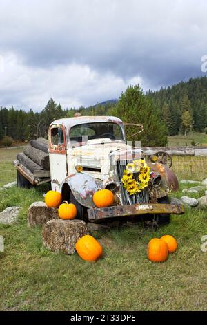 An old broken down antique truck sits in grass as a prop for decorations using flowers and pumpkins in north Idaho. Stock Photo