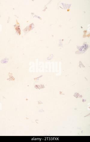 Mulberry paper handmade recycled leaf paper background. Stock Photo