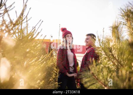 Cheerful couple in love in checkered red shirts, knitted hats are fooling around, laughing among green Christmas tree market. Young man holds hands of Stock Photo