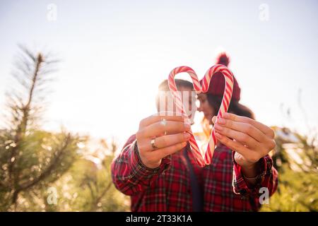 Red white candy cane is held in outstretched hands of loving couple in checkered shirts, knitted hats near green market of Christmas trees. Happy man Stock Photo