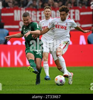 Cologne, Germany. 22nd Oct, 2023. Luca Waldschmidt (R) of FC Cologne vies with Nico Elvedi of Borussia Moenchengladbach during the first division of Bundesliga 8th round match between FC Cologne and Borussia Moenchengladbach, in Cologne, Germany, Oct. 22, 2023. Credit: Ulrich Hufnagel/Xinhua/Alamy Live News Stock Photo