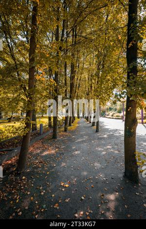 Park alley surrounded by autumn trees. Yellow leaves lying on the pavement.  Decorative, high grass behind the alley. Pink, metal street lightning. Stock Photo