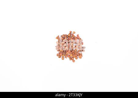 Pile of beetroot seeds isolated on white background Stock Photo