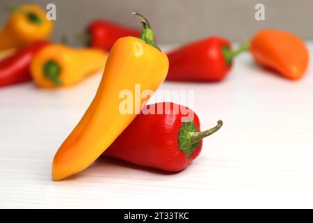 Vibrant chilli peppers. Assorted colorful varieties of hot and sweet peppers or chilies on a farm background. copy space. Stock Photo