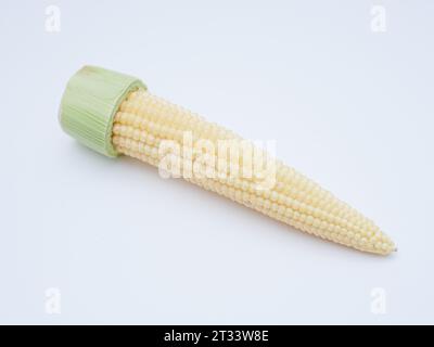 peeled baby corn isolated on white background Stock Photo