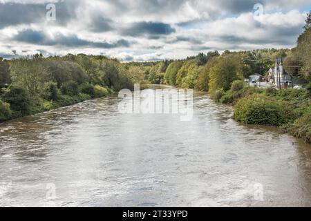 UK weather. Fatfield, 21st October 2023 The river Wear in Fatfield, Washington, Tyne and Wear, after storm Babet. The water level is high but not flooding. England, UK Stock Photo