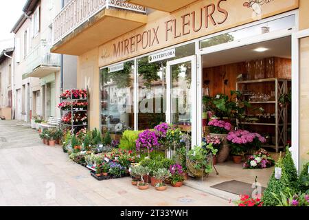 Mirepoix Fleurs flower shop in France Stock Photo