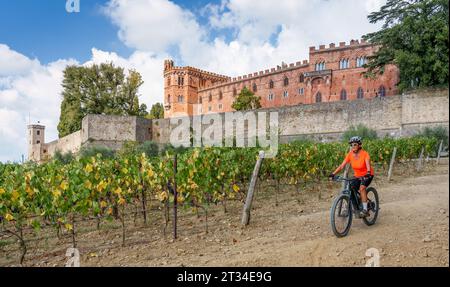 nice senior woman riding her electric mountain bike in the vineyards below Castello Brolio in the Ghianti Area of Tuscany,Italy Stock Photo
