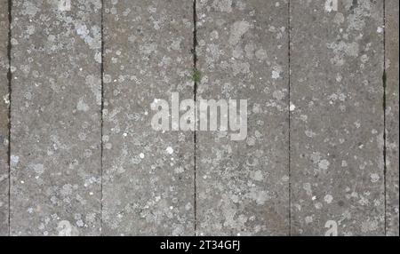 grey concrete texture useful as a background Stock Photo