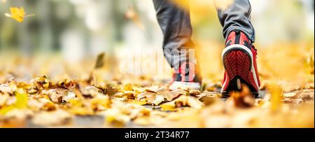 Close-up of the running shoes of a person running on maple leaves in autumn nature. Stock Photo