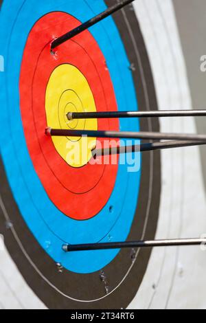 Standard archery target pierced by arrows with one hit the bullseye ...