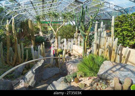 Inverness Botanic Gardens cactus house;  near the River Ness on the west bank. Close to Ness Islands pathway.   Inverness, Highlands, Scotland, UK Stock Photo