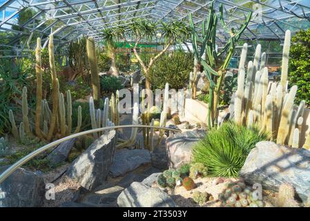 Inverness Botanic Gardens cactus house,  near the River Ness on the west bank. Close to the Ness Islands pathway.   Inverness, Highlands, Scotland, U Stock Photo