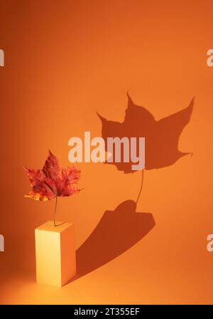 Creative trendy monochrome orange autumn still life. One fall maple leaf standing on geometric podium with large shadow from it. Minimal art fall conc Stock Photo