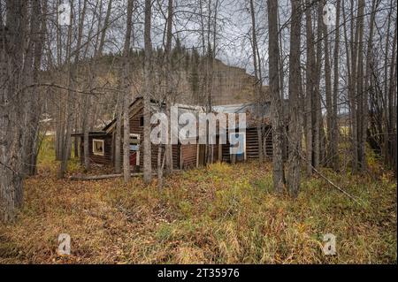 Abandoned log cabin in a forest in Dawson City, Yukon, Canada Stock Photo
