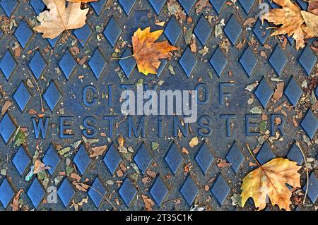 Historic cast iron embossed grid labelled City of Westminster, with autumn leaves Stock Photo