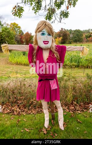 Cucurbit Farm's Scarecrow Contest fundraiser to benefit National Alliance on Mental Illness Stock Photo