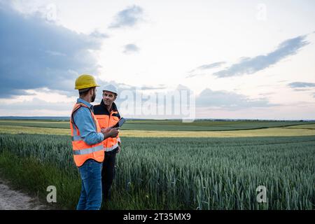 Engineers discussing with tablet PC by crop in field Stock Photo