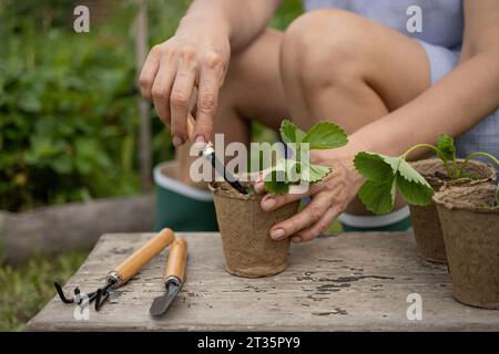 Mature woman doing gardening with tools in garden Stock Photo