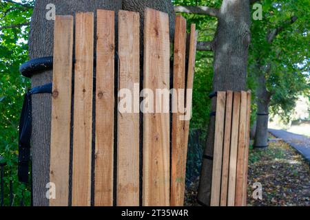 Protection around a tree trunk on a construction site Stock Photo