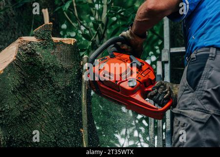 Lumberjack sawing tree trunk with chainsaw in forest Stock Photo