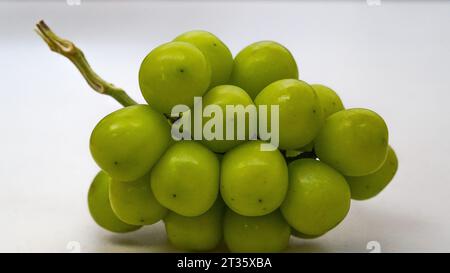 Muscat grapes are a species of Vitis vinifera which has a sweet taste Stock Photo