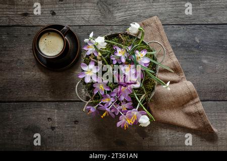 Cup of coffee and springtime flowers in metal bucket standing on wooden table Stock Photo