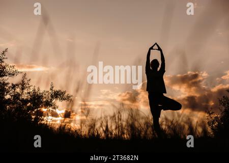 Silhouette of a woman practicing the tree yoga pose on a beach a Stock  Photo by ©Kzenon 181316778