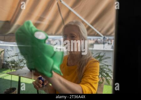 Woman cleaning house window with rag Stock Photo