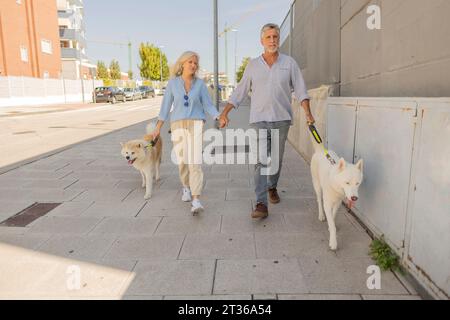 Man and woman holding hands walking with dogs on footpath at street Stock Photo