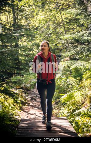 Young woman with backpack walking on boardwalk in forest Stock Photo