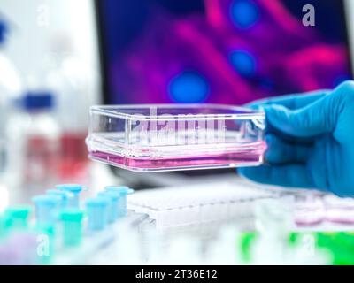Hand of scientist experimenting with cells in laboratory Stock Photo