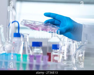Hand of scientist experimenting with stem cells in laboratory Stock Photo