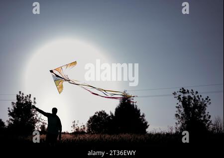Silhouette of man with kite flying in meadow Stock Photo