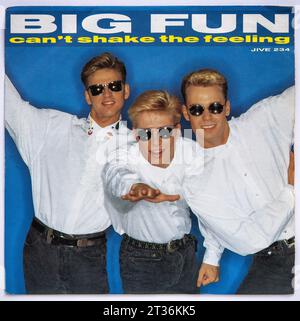 Picture cover of the seven inch single version of Can't Shake the Feeling by Big Fun, which was released in 1989 Stock Photo