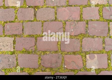 An old cobblestone sidewalk with grass and moss growing through it. View from above. Stock Photo