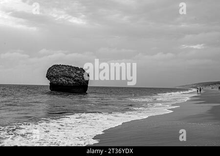 black and white picture of the rock of Matalascanas the ruin of an old tower at the atlantic ocean in Matalascanas in Andalusia Stock Photo