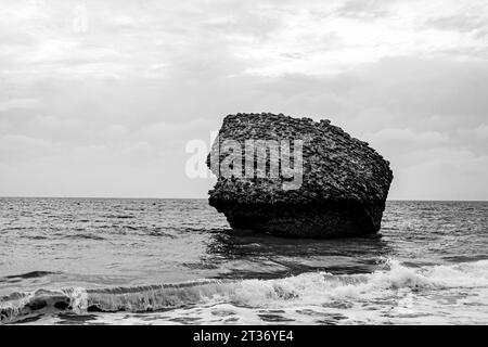 black and white picture of the rock of Matalascanas the ruin of an old tower at the atlantic ocean in Matalascanas in Andalusia Stock Photo